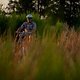 Sunset33 (MTB-News)