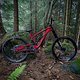 Alutech Sennes 3.0 Custom Dreambuild