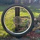 Newmen Beskar LRS Custom / Schwalbe Albert Trail Radial