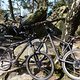 Teutoburger Wald Tour (29)