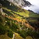 Perfect Autumn Trail