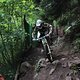 IMG 1426
