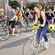 CriticalMass 1407 1531b