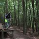 IMG 0994