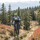 Mountainbike (4)