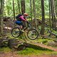 BC Squamish - Cortes Planks