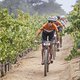 riders during Stage 4 of the 2025 Absa Cape Epic Mountain Bike stage race held at Fairview, Paarl, Cape Town, South Africa on the 20th March 2025. Photo by Sam Clark/Cape Epic
PLEASE ENSURE THE APPROPRIATE CREDIT IS GIVEN TO THE PHOTOGRAPHER AND ABSA