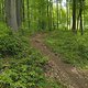 Gratis Trailcenter WB