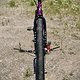 mongoose surly mullet
