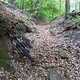 SDC16125 kl