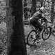 IMG 7261