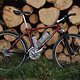stumpjumper