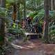 Rotorua step down vor end gap