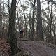 IMG 1453