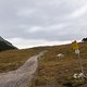 IMG 0748