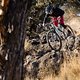 Specialized Tyler Roemer hires-105-squashed