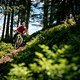 Liebhaber natürlicher Wegführung sollten sich den Buckewald-Trail anschauen