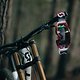 scott-sports-scott-dh-factory-2021-bike-actionImage-by-riley-matthewsShimano x Scott by Riley Matthews-3