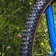 Schwalbe Wicked Will-17