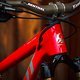 Pivot-Matt-Walker-6655