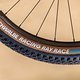 Gerollt wird auf verschiedenen Schwalbe-Reifen, je nach Terrain der Etappe.
