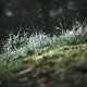 Warum liegt hier eigentlich Schnee?
