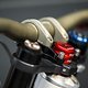 Zerode-Eleonora-Farina-3058