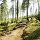 So stellt man sich Trail-Vergnügen vor. Warum gab es das nicht schon früher in Deutschland?