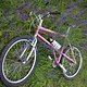 Elevated Chainstay Lila