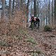IMG 5236