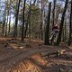 IMG 1804