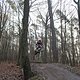 IMG 1451
