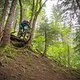 09L Chatel - Falco Trail