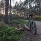 1x1 on the forest highway
