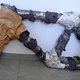 Ted Wojcik-Eric Nordenson-1994-2025-01-05 (6)