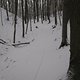 IMG 0405