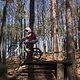Bike Beerfelden P 320