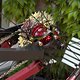 IMG 6078