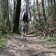 IMG 6819