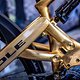 Sea Otter - Pole-56
