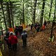 Im letzten Wald kurz vor dem Ziel wird es nochmal ganz besonders steil und eklig.