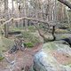 IMG 1477