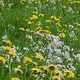 130509 Eltzbachtal22
