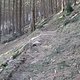 IMG 0986Large 1272301564