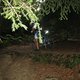 IMG 3953
