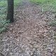 DSC00234