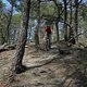 IMG 3602