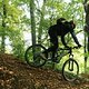EltmannerTrailsundTreppen25.09.11.025