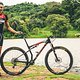 Finsty Brazil-9