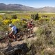 Riders on stage 1 of the 2021 Absa Cape Epic Mountain Bike stage race from Eselfontein in Ceres to Eselfontein in Ceres, South Africa on the 18th October 2021

Photo by Kelvin Trautman/Cape Epic

PLEASE ENSURE THE APPROPRIATE CREDIT IS GIVEN TO THE P